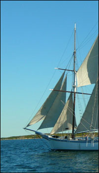 Boothbay Harbor Windjammer Days